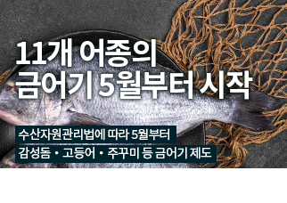 상시배너
