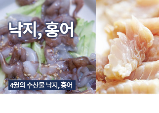 제철수산물