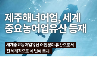 핫이슈