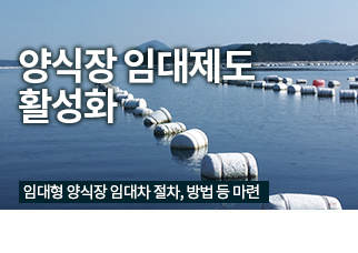 정책정보