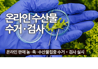 특집기사