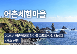 정책정보