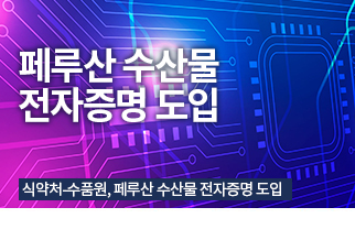 특집기사