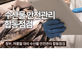특집기사